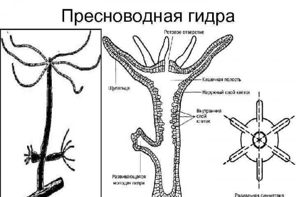 Кракен даркнет